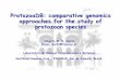 ProtozoaDB: comparative genomics approaches for the · PDF fileProtozoaDB: comparative genomics ... Edi Ehi Entamoeba ... Pte Paramecium Tth Tetrahymena Mbr Monosiga Pvi Pkn Pfa Pyo