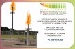Utilisation of High CO2- Content Flare Gas for Steam and ... · PDF fileUtilisation of High CO2- Content Flare Gas for Steam and Electricity Generation Santiago Pástor Technical Manager