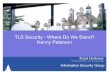 TLS Security - Where Do We Stand? Kenny Paterson · PDF fileInformation Security Group ... assume that Handshake Protocol uses CCA-secure public key encryption ... Theory for key exchange