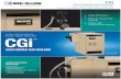 GOLD SERIES GAS BOILERS - Weil-McLain · PDF fileHigh efficiency Easy to install and service Made with Weil-McLain quality   CGi GOLD SERIES GAS BOILER HIGH EFFICIENCY