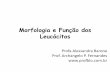 Morfologia e Função dos Leucócitos -  · PDF fileMorfologia e Função dos Leucócitos Profa Alessandra Barone Prof. Archangelo P. Fernandes