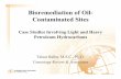 Bioremediation of Oil- Contaminated · PDF filehydrocarbon-impacted sites by bioremediation: in situ treatment and ... Oil refinery in Germany Subsurface soils (up to 20 feet below