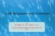 Cell Structure and Function - Try To Look At the Bright ... · PDF fileCell Structure and Function By ARI WIBOWO. S.Pt., M.Si & SUHARDI. S.Pt., MP. CLASS OF ANIMALS ANATOMY AND PHYSIOLOGY