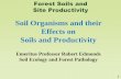Soil Organisms and their Effects on Soils and Productivity · PDF fileForest Soils and Site Productivity 1 Soil Organisms and their Effects on Soils and Productivity Emeritus Professor
