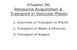 Chapter 36: Resource Acquisition & Transport in Vascular ... Chapter... · Chapter 36: Resource Acquisition & Transport in Vascular Plants 2. Transport of Water & Minerals 1. Overview