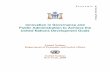 Innovations in Government and Public Administration · PDF fileInnovation in Governance and Public Administration to Achieve the United Nations Development Goals United Nations Department