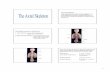 The Axial Skeleton •The basic features of the human ... · PDF file1 The Axial Skeleton •The basic features of the human skeleton have been shaped by evolution, but the detailed