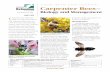 Carpenter Bees– - ACES. · PDF fileCarpenter bees (Xylocopa spp.) are large and economi-cally important insects that are active from early spring through summer. Like other bees,