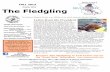 October 2013 The Fledgling · PDF fileOctober 2013 The Missouri Bluebird Society is an Affiliate of the North American ... bluebirds in Missouri are basically year round ... A Special