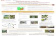 Integrated Management of Leek Moth - · PDF fileIntegrated Management of Leek Moth ... found in Southwestern Ontario and New York State. Sustainable leek moth management ... (onions,