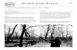 Prune Your Trees (PDF) - IN. · PDF filePrune Your Trees Prune early, prune often, prune for safety 9 Why should I prune? ... Usually, the best time to prune oaks and elms is late