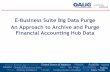 E-Business Suite Big Data Purge An Approach to Archive …ncoaug.communities.oaug.org/multisites/ncoaug/media/Events/NCOAUG...An Approach to Archive and Purge Financial Accounting