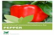 Nutritional recommendations for - Haifa- · PDF fileNutritional recommendations for . PEPPER . ... The preferable pH of the soil should be between 6.5 and 7.5. ... Abundant application
