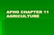 APHG CHAPTER 11 AGRICULTURE - MHS AP Human ...mhsaphumangeography.weebly.com/uploads/2/2/9/3/22939572/...Before agriculture, hunting & gathering as well as fishing dominated What they