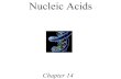 Nucleic Acids - Saddleback College Goals 1. Describe the makeup of nucleosides, nucleotides, oligonucleotides, and polynucleotides. 2. Describe the primary structure of DNA and ...