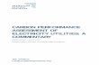 CARBON PERFORMANCE ASSESSMENT OF ELECTRICITY · PDF file · 2018-01-31CARBON PERFORMANCE ASSESSMENT OF ELECTRICITY UTILITIES: A ... 3 1. Introduction ... “Carbon Performance Assessment