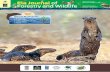 Special Issue Part 2 Marine Biodiversity - Ela · PDF fileISSN 2319-4361 (Indexed in Google Scholar) Volume 6 | Issue 1 January - March 2017 Special Issue Marine Biodiversity Mangroves
