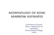 Morphology of bone marrow aspirates - inctrinctr-news.wdfiles.com/local--files/tutorials-in-hematopathology-in... · MORPHOLOGY OF BONE MARROW ASPIRATES Dr.Prasanna N Kumar Head ...