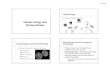 Cellular Energy and Photosynthesis - WordPress.com & Heterotrophs Autotrophs: organisms able to use light energy from the sun to make their own food. ... no special organelles In protists(e.g.,