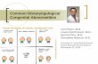 Common Otolaryngological Congenital · PDF fileCommon Otolaryngological Congenital Abnormalities Viet Pham, M.D. Lewis Hutchinson, M.D. Harold Pine, M.D. Shraddha Mukerji, M.D. ...
