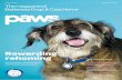 Autumn 2013 he magazni e of T Battersea ... · PDF fileAutumn 2013 he magazni e of T Battersea Dogs & Cats Home Rewarding rehoming Dispelling the myths around rehoming a rescue animal