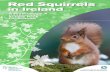 ResourcePack WORKINGDRAFT Final - Agriculture decline of the red squirrel is discussed from the point of view of habitat destruction and introduced species.