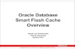 Oracle Database Smart Flash Cache Overview · PDF file28.11.2011 · Title: Microsoft PowerPoint - SmartFlashCache.ppt [Compatibility Mode] Author: hbreeder Created Date: 3/18/2012