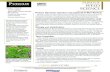 Poison Hemlock (Conium maculatum)- A Mini Review Hemlock (Conium maculatum)-A Mini Review Travis Legleiter Weed Science Program Specialist Bill Johnson Professor of Weed Science Purdue