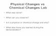 Physical Changes vs Chemical Changes Labtclauset.org/16_StGuides/ppt-flash/chem-changes/Change...Physical Changes vs Chemical Changes Lab • What was done? • What can you observe?