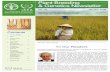 Contents To Our Readers - IAEA · PDF fileTo Our Readers The most important ... draft book of Mutation Breeding in Asia with defined ... cotton, groundnut, okra, potato, rice, sorghum,