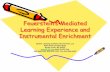 Feuerstein’s Mediated Learning Experience and s Mediated Learning Experience and Instrumental Enrichment Quality Learning Systems International, LLC 4950 West Dickman Road Battle