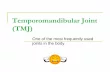 Temporomandibular Joint (TMJ) - MCCCbehrensb/documents/Week14B-FINAL.pdf · Temporomandibular Joint (TMJ) ... Objectives Identify bones related to the temporomandibular joint ...