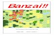 Banzai!!texas-asl.com/banzai/banzai7_2.pdf · Banzai!! The Newsletter of the Austin ASL Club August, ... the scenarios played ... The 2nd SS Panzer