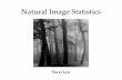 Natural Image Statistics - University of Torontoasamir/cifar/lyu_08_11_10_slides.… ·  · 2010-08-11character. [Ruderman, 1996] 3 “natural image” dependency in ... • gray-scale