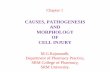 CAUSES, PATHOGENESIS AND MORPHOLOGY OF … PATHOGENESIS AND MORPHOLOGY OF CELL INJURY M.G.Rajanandh, Department of Pharmacy Practice, SRM College of Pharmacy, SRM University. Chapter