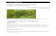 Banded Tilapia (Tilapia sparrmanii) ERSS - U.S. Fish … Tilapia (Tilapia sparrmanii) ... File: Tilapia_sparrmanii ... Manual of diagnostic tests for aquatic animals 2015.