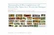 Automated Recognition of Butterfly Species from an Imagemengu/Projects_files/Project Report... · Automated Recognition of Butterfly Species from an Image Final Project Report Mengu