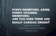 PCSK9 INHIBITORS, ARNIS, FUNNY CHANNEL INHIBITORS…extranet.provhealth.org/extranet/cardio/Presentations/Are these... · pcsk9 inhibitors, arnis, funny channel inhibitors: are you