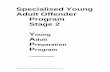 Specialised Young Adult Offender - Inter-Searchcsa.intersearch.com.au/csajspui/bitstream/10627/799/4/Young Adult... · Acquaintance ... See Specialised Young Adult Offender Program