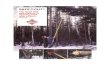· PDF fileDifferent types of fallen trees. A tree with a small overhang. ... demolition work, removing old poles, cutting trees in narrow areas, and in underwater work