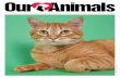 THE MAGAZINE OF THE SAN FRANCISCO SPCA SPRING 2016 SFSPCA · PDF fileTHE MAGAZINE OF THE SAN FRANCISCO SPCA SPRING 2016 SFSPCA.ORG Vol ... and enhance the human-animal bond. ... It’s
