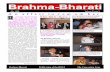July 1996 Volume 2 Issue 3 An affair to remembertripathi/bsna/bmbh607c.pdf · July 1996 Volume 2 Issue 3 Brahma-Bharati Publication of the BSNA The Convention Issue f you have seen