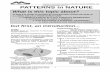 Preliminary Biology Topic 2 PATTERNS in NATUREin... · Preliminary Biology Topic 2 “Patterns in Nature ... water with a complex mixture of ... At the end of the notes you will find