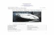 Pre-Purchase Marine Survey Reportmarinetechnology.info/documents/SAMPLEPWRBOATSURVEY.pdf · Pre-Purchase Marine Survey Report ... Close-up bow view and plow anchor on ... The anchor