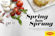 Spring - Nestlé Professional · PDF fileSpring is a busy period for the hospitality industry and the ... Some marketing tools such as social media, ... 68g MAGGI® Original Gravy