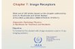 Chapter 7: Image Receptors - Human Health Campus · PDF fileIAEA CHAPTER 7 TABLE OF CONTENTS 7.1 Introduction 7.2 General Properties of Receptors 7.3 Film and Screen-Film Systems 7.4