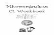Name Microorganisms C1 Workbook - Mr. Hill's Science …mrscienceut.net/MicroorganismsC1Workbook.pdf ·  · 2012-03-12Microorganisms C1 Workbook . ... Harmful effects of bacteria.