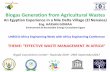 Biogas Generation from Agricultural · PDF filewhich wet agricultural waste as well as sewage and ... –Generating a useful gas that can be used as a source of ... established for