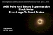 AGN Pairs And Binary Supermassive Black Holes: From · PDF fileAGN Pairs And Binary Supermassive Black Holes: From Large To Small Scales. ... and X-ray or radio observations are ...
