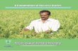 S. Story Book - AESA Story_2016(1).pdfIFFCO Indian Farmers Fertilizers Cooperative Limited ... KVK conducted a need analysis in 2009-10 and decided to work in line with the ... size